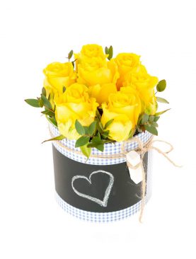 Flower box decor plus 13/13 žlté ruže